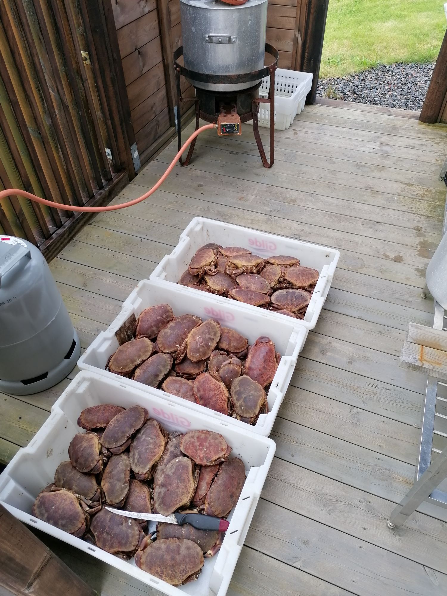 regler-for-krabbefiske